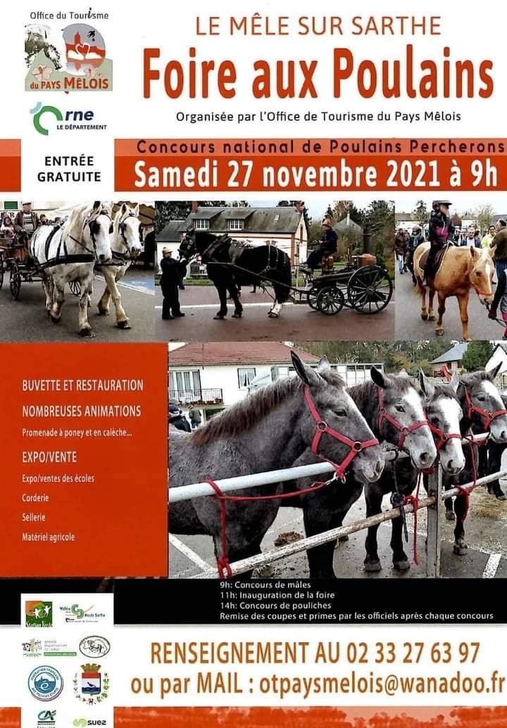 foire aux poulains